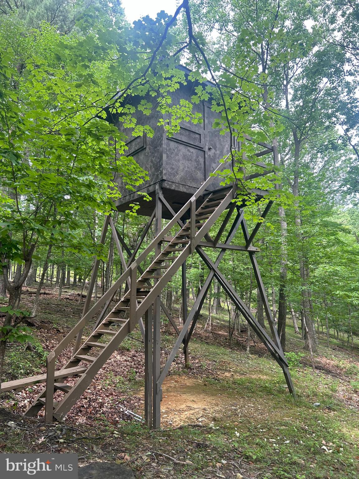 8883 Crooked Run Road Basye, VA 22810 - Photo 22 of 22 a view of a house with a yard