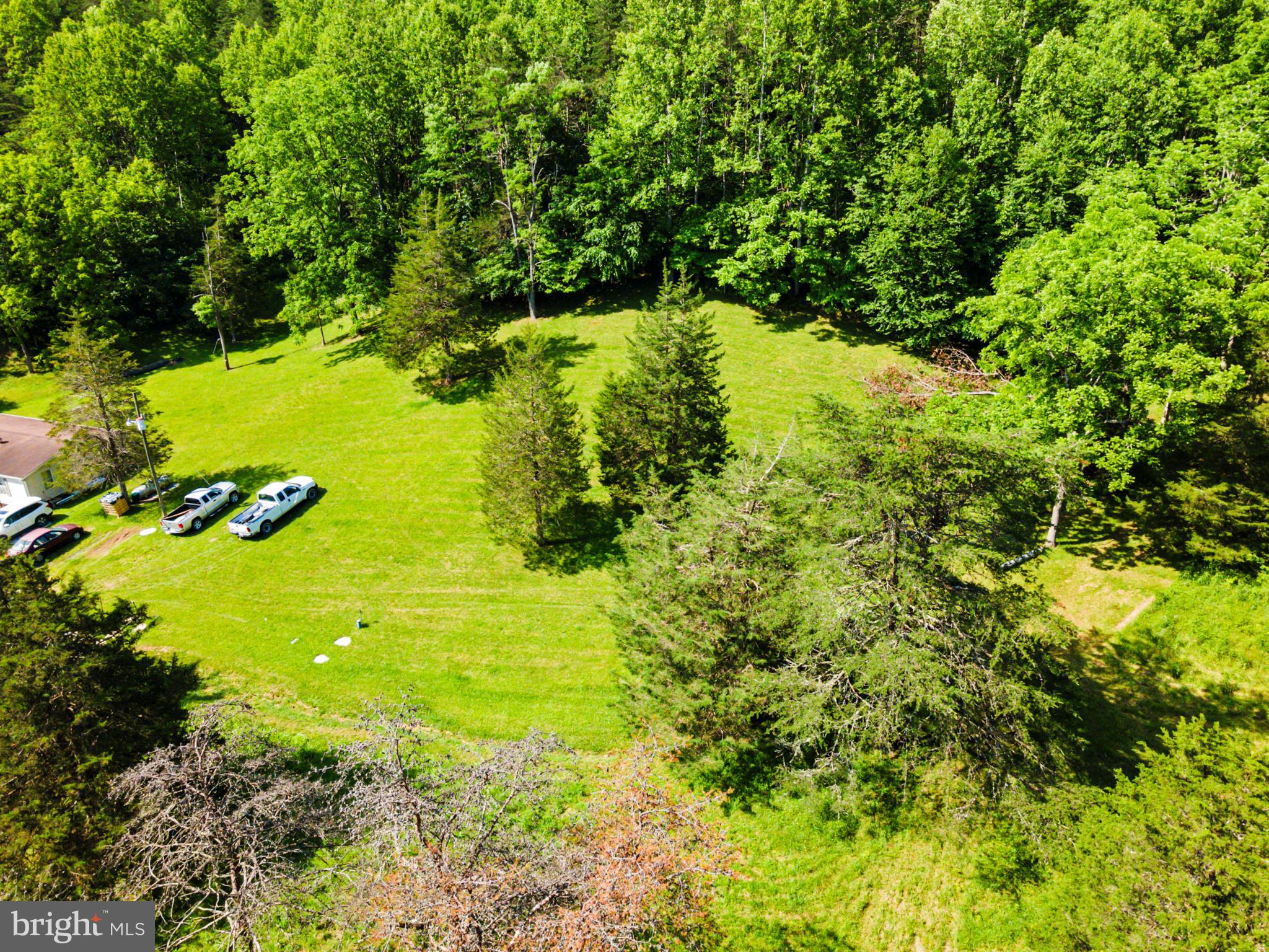 8883 Crooked Run Road Basye, VA 22810 - Photo 8 of 22 a view of a garden