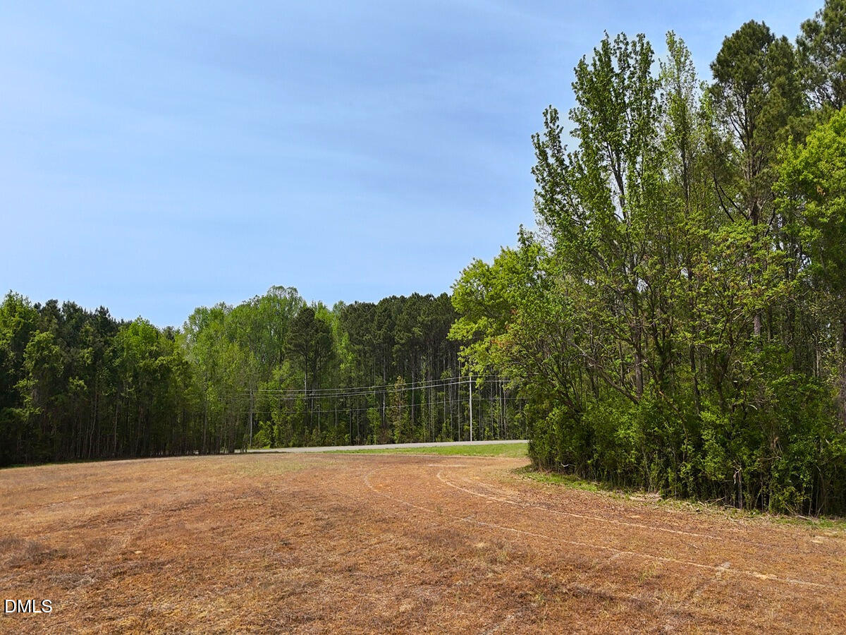 0 Mamie Road Wilson, NC 27893 - Photo 10 of 29 10.