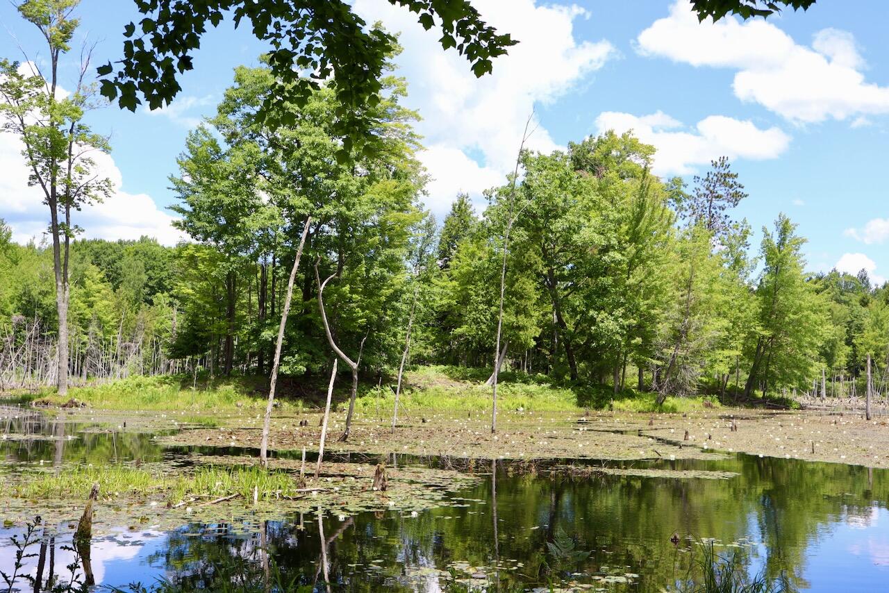 6182 Hamilton Road Harrison, MI 48625 - Photo 23 of 77