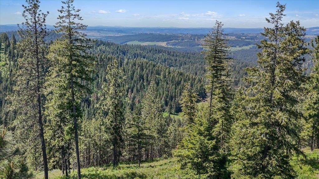 18-xxx East Miner Road Mead, WA 99021 - Photo 5 of 40