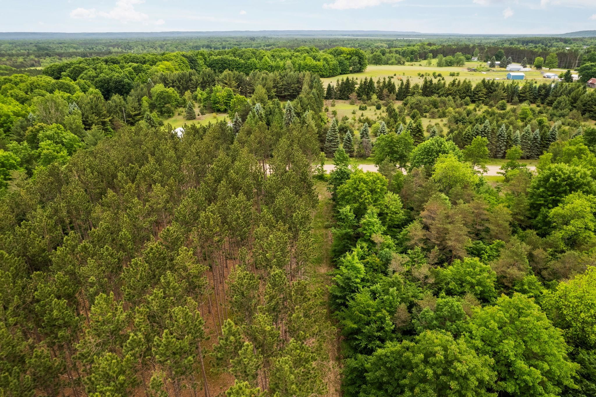 Parcel E St Johns Road Interlochen, MI 49643 - Photo 20 of 39