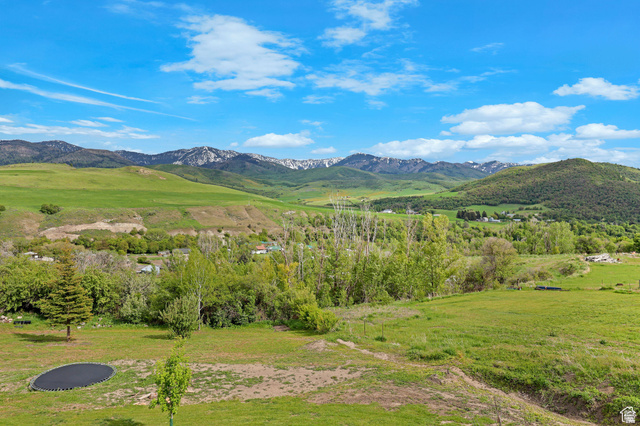 306 Spring Road Preston, ID 83263 - Photo 38 of 55 Expansive verdant landscape featuring rolling hills, mature trees, and distant snow-capped mountains
