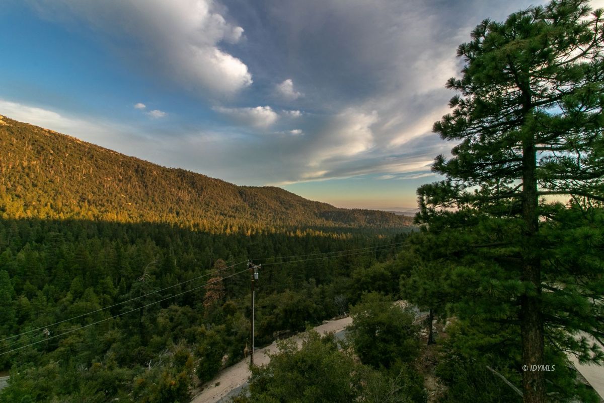 54850 Chipmunk Drive Idyllwild, CA 92549 - Photo 44 of 44 a view of a city with lush green forest