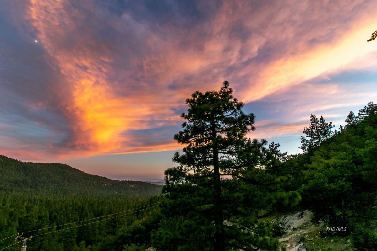 54850 Chipmunk Drive Idyllwild, CA 92549 - Photo 7 of 44