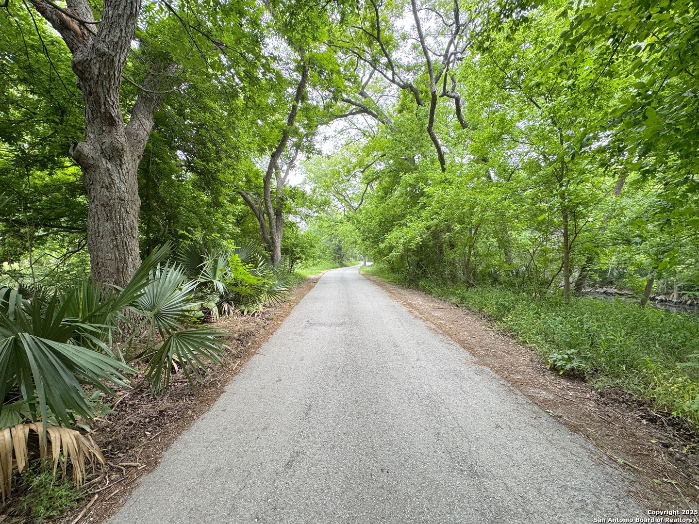 1119 Hidden Valley Drive Spring Branch, TX 78070 - Photo 13 of 17