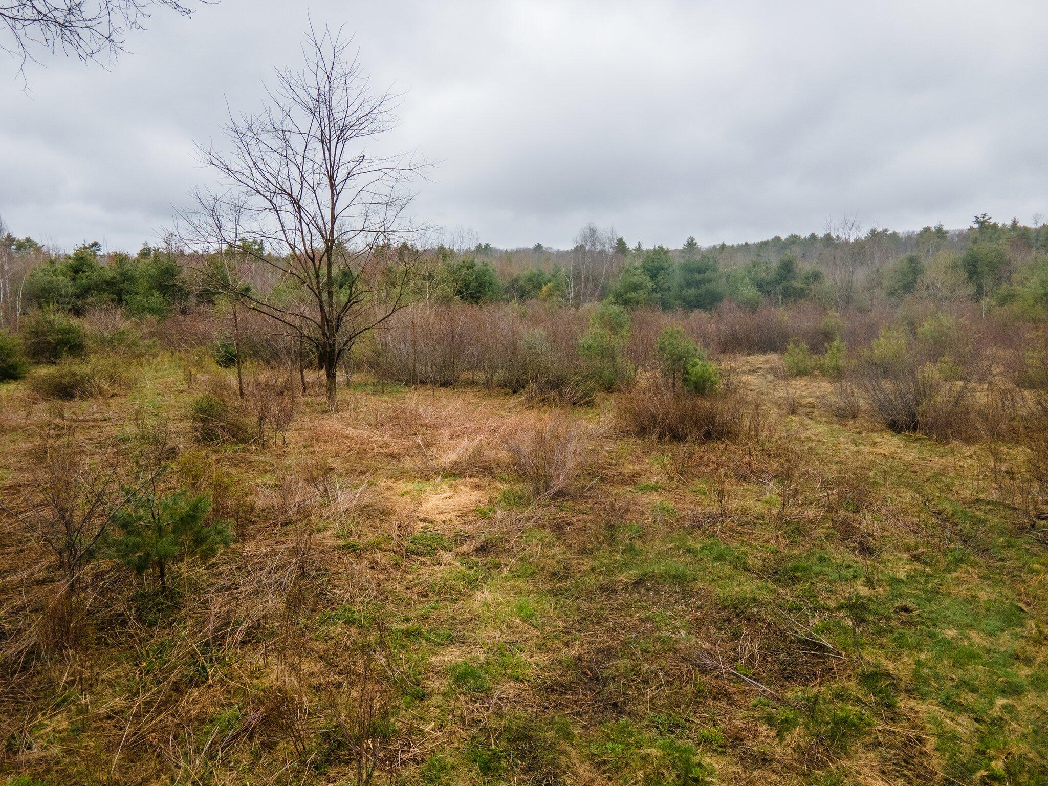 346 Old Portland Road Brunswick, ME 04011 - Photo 5 of 13 17-web-or-mls-DJI_0360