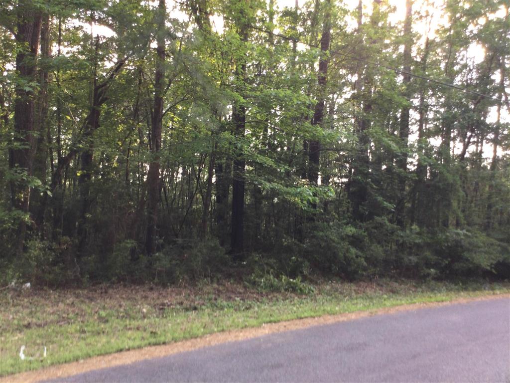 0 Stanley Road Leesville, LA 71446 - Photo 3 of 5