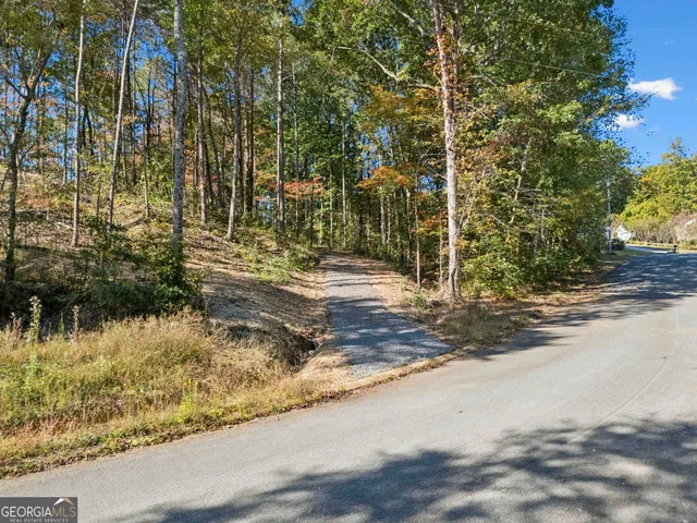 a view of a yard with plants and trees
