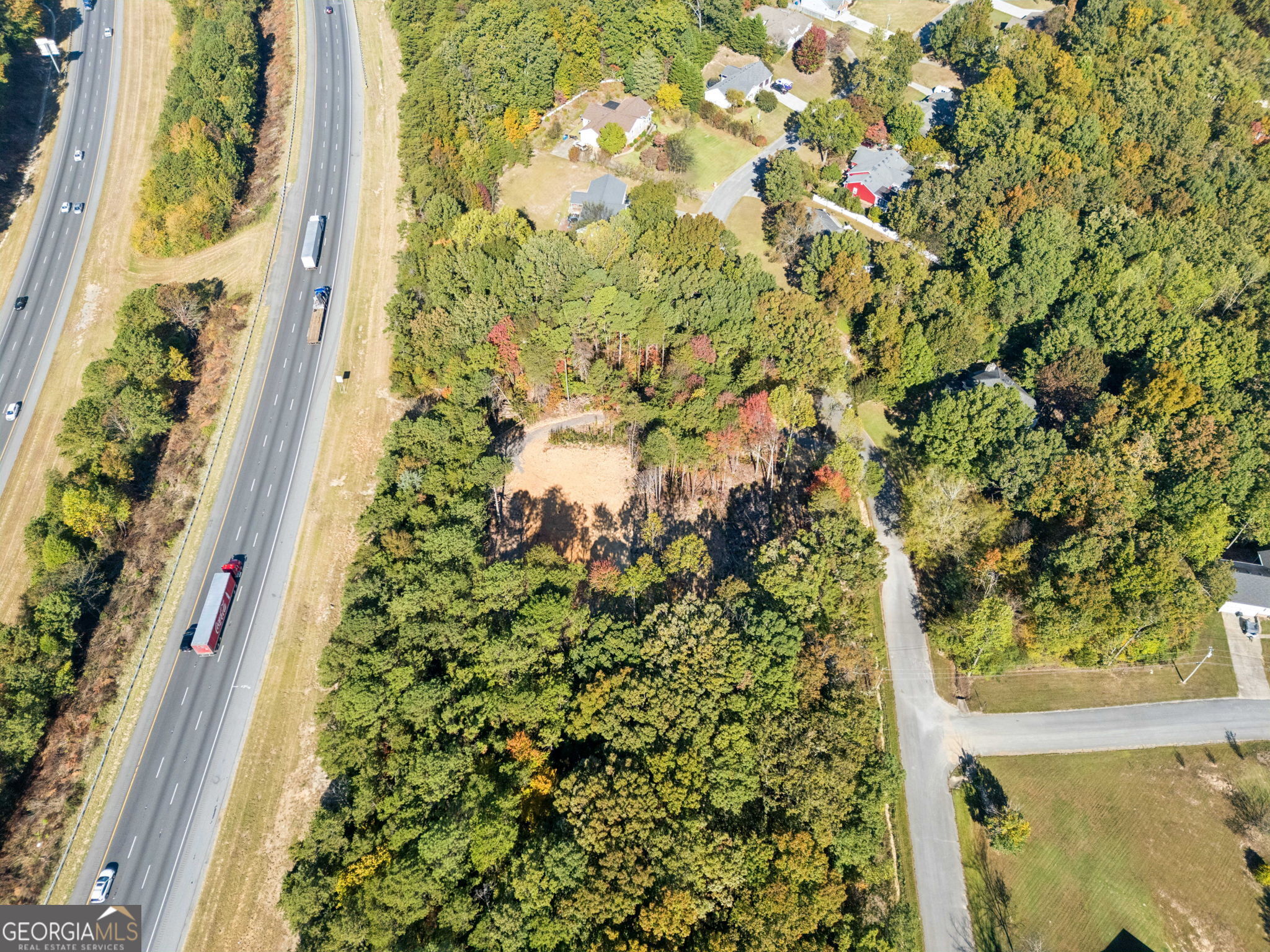 223 Hickory Ridge Trail Ringgold, GA 30736 - Photo 17 of 17 a close up of a plant