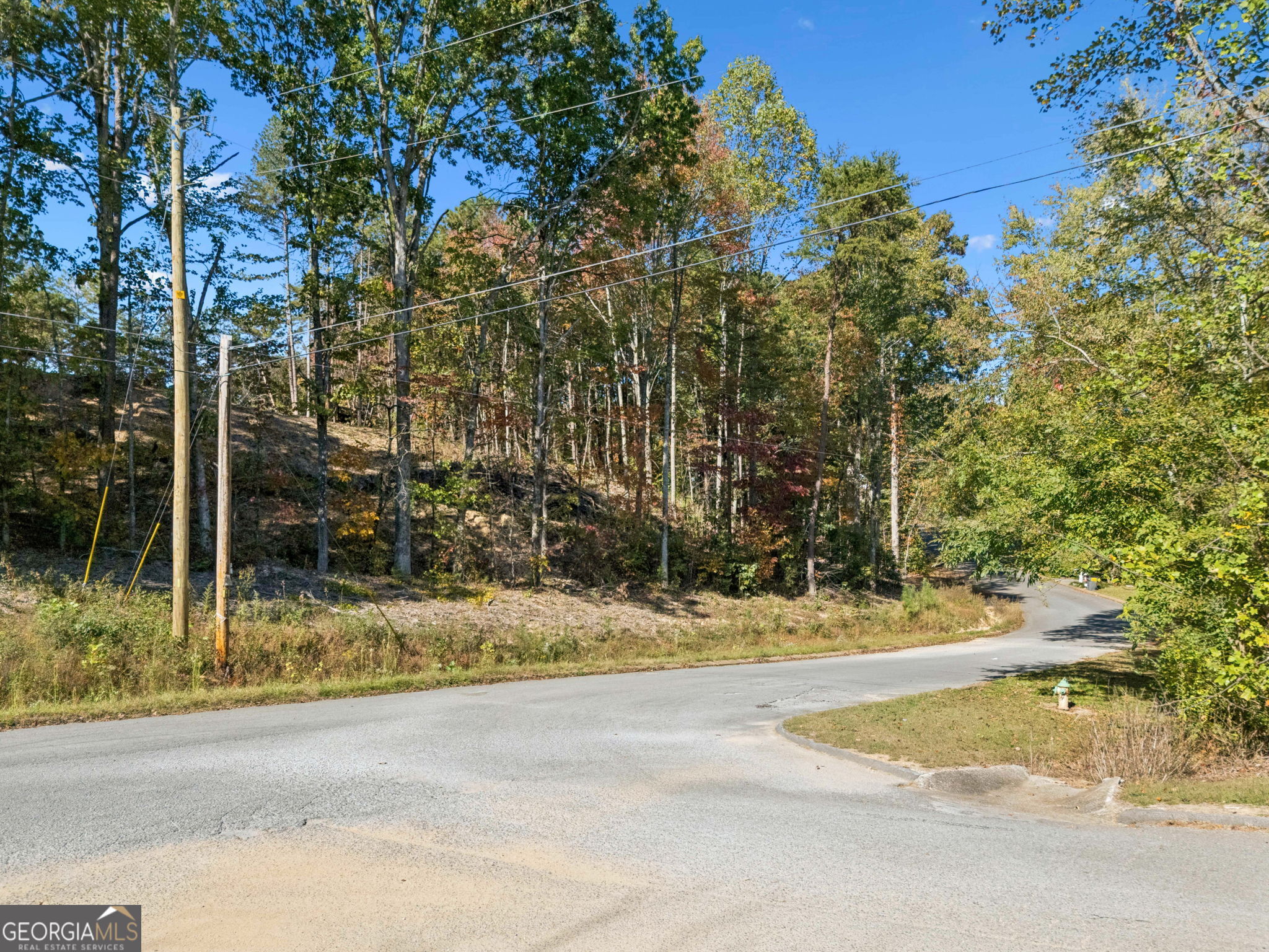223 Hickory Ridge Trail Ringgold, GA 30736 - Photo 2 of 17 a view of swimming pool and trees in the background