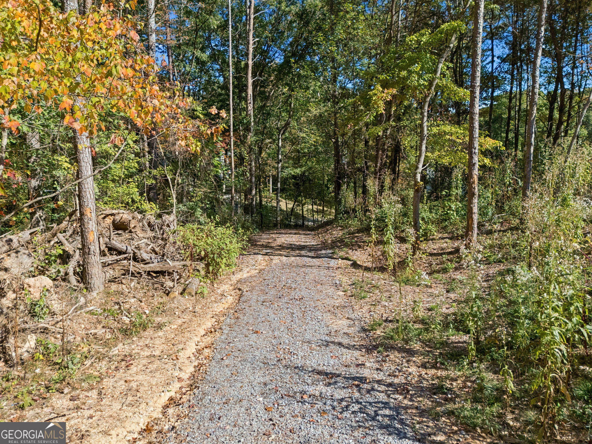 223 Hickory Ridge Trail Ringgold, GA 30736 - Photo 3 of 17 a view of a yard with plants and trees