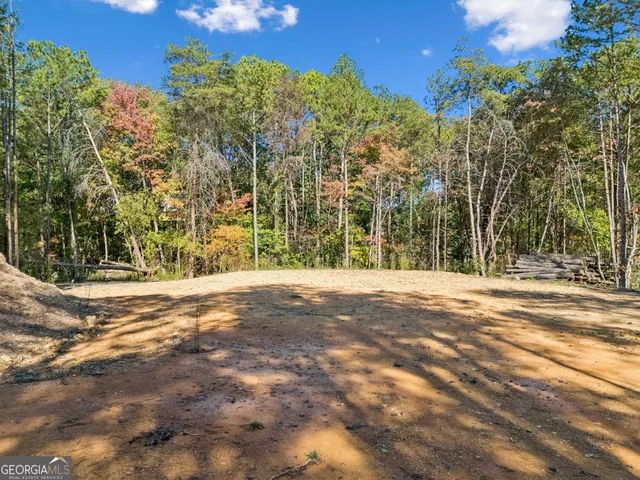 a view of a backyard of a house