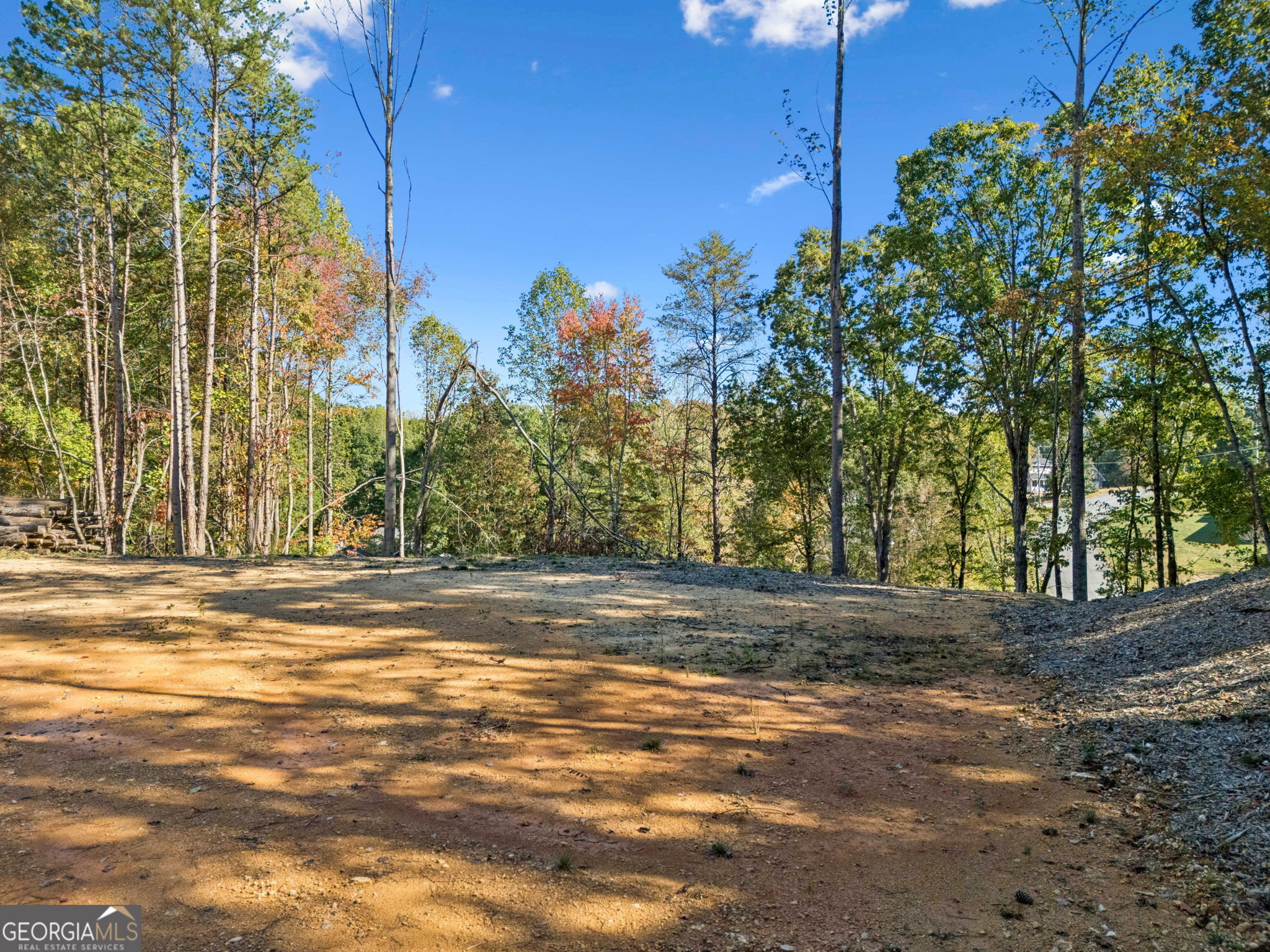 223 Hickory Ridge Trail Ringgold, GA 30736 - Photo 5 of 17 a view of a yard with yellow lighting