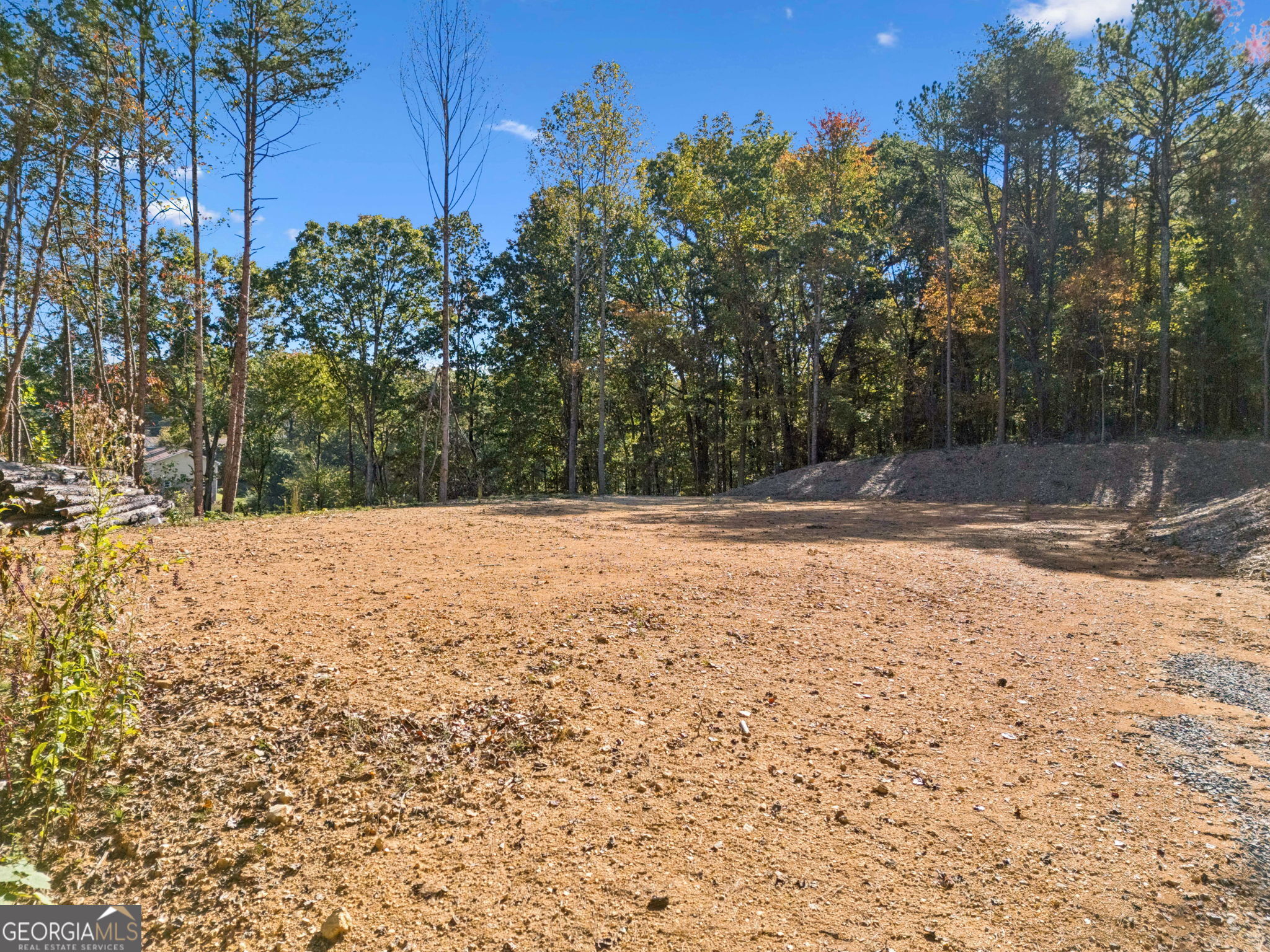 223 Hickory Ridge Trail Ringgold, GA 30736 - Photo 6 of 17 a view of yard