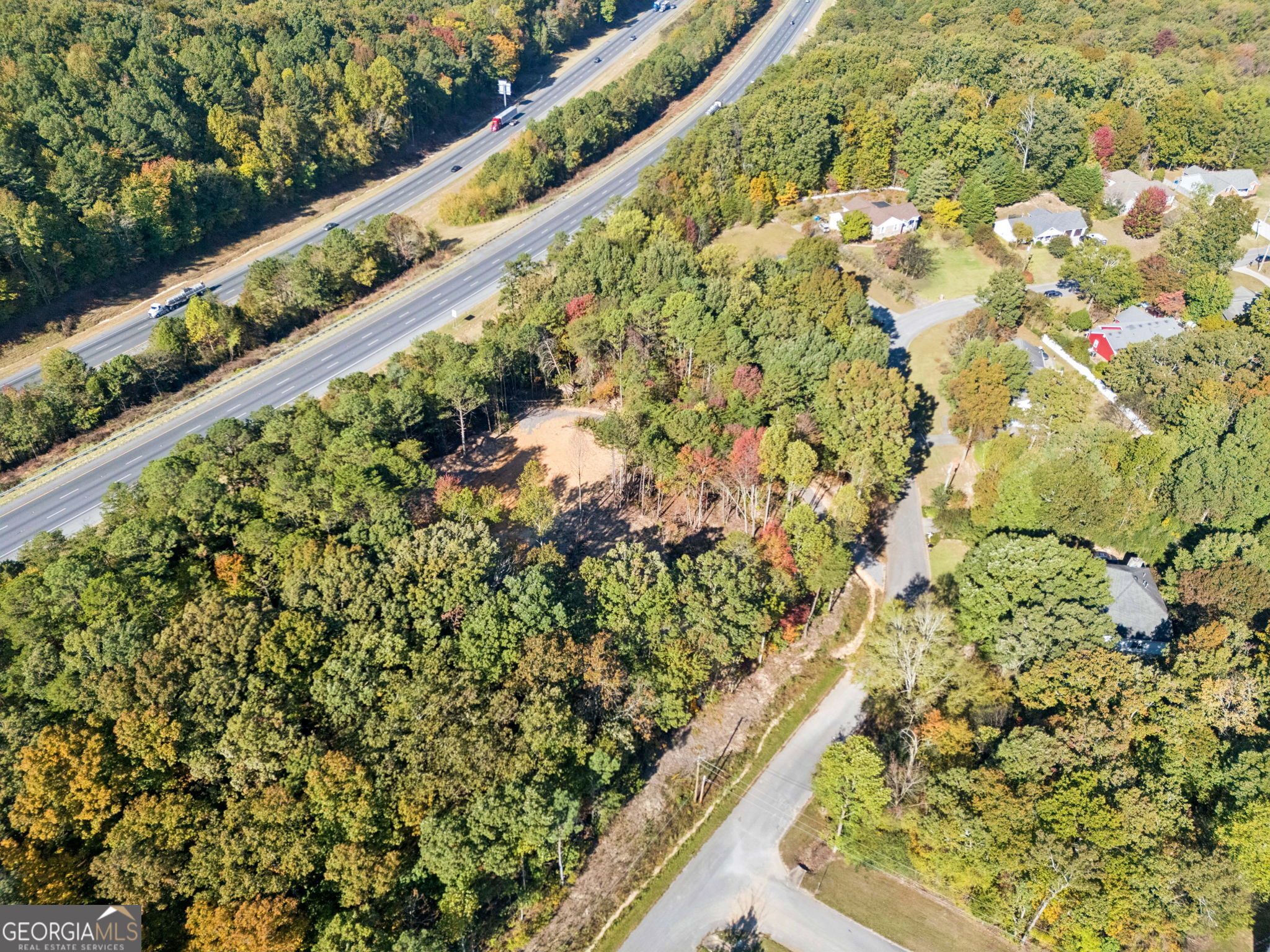 223 Hickory Ridge Trail Ringgold, GA 30736 - Photo 8 of 17 a close up of a plant in a garden