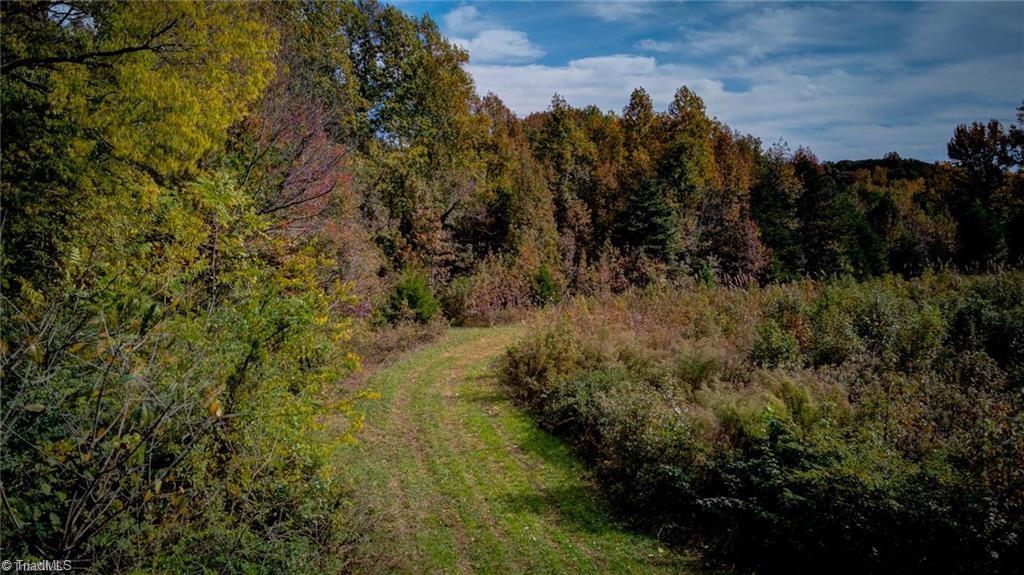 0 Adams Road Reidsville, NC 27320 - Photo 21 of 21