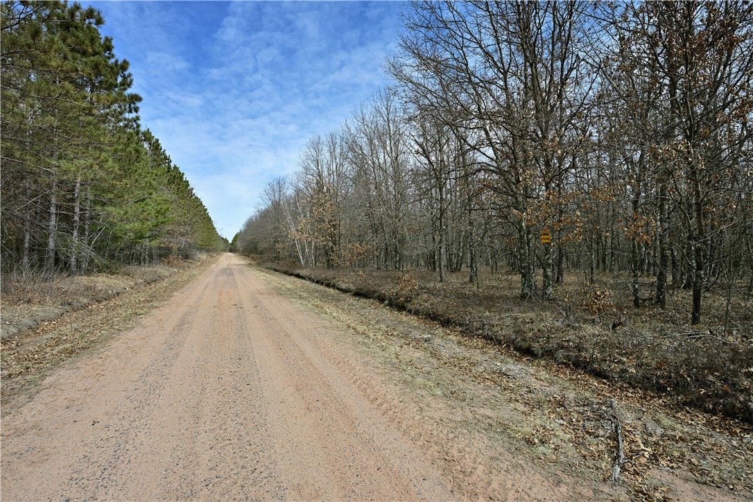 40-acres East Flowage Road Trego, WI 54888 - Photo 1 of 1