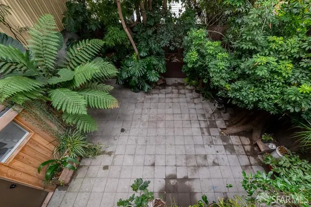 a view of a pathway with flower plants