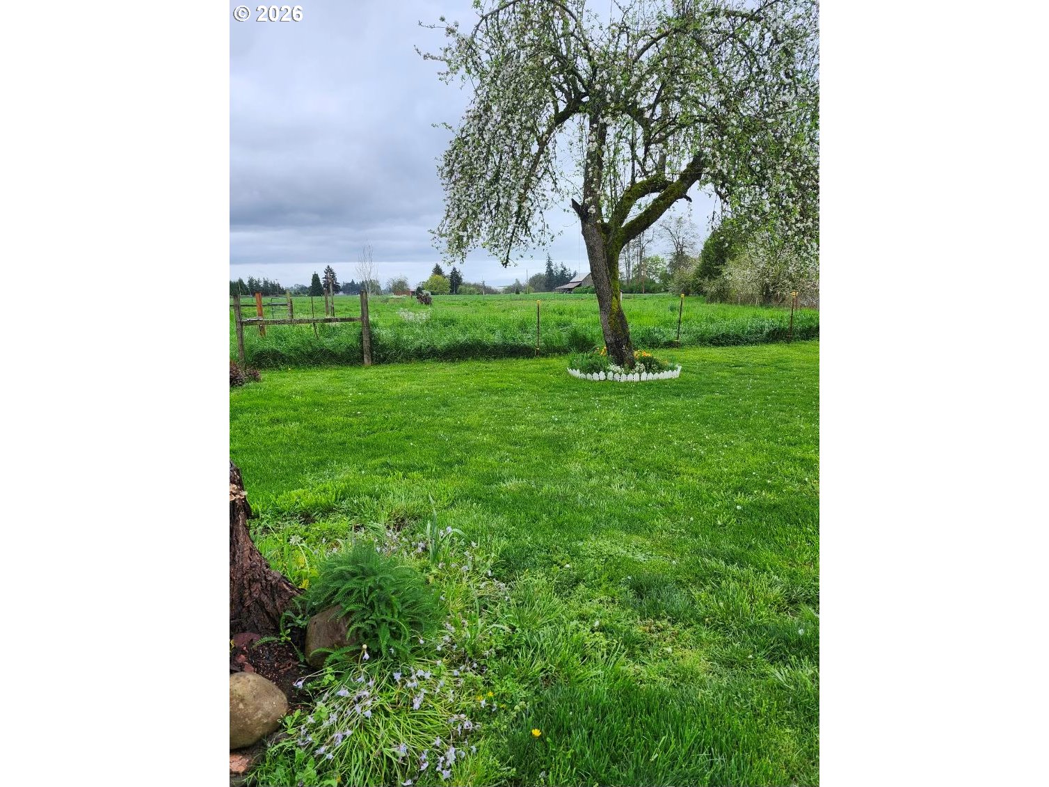 21601 Southwest McKee Road Amity, OR 97101 - Photo 6 of 7 Yard