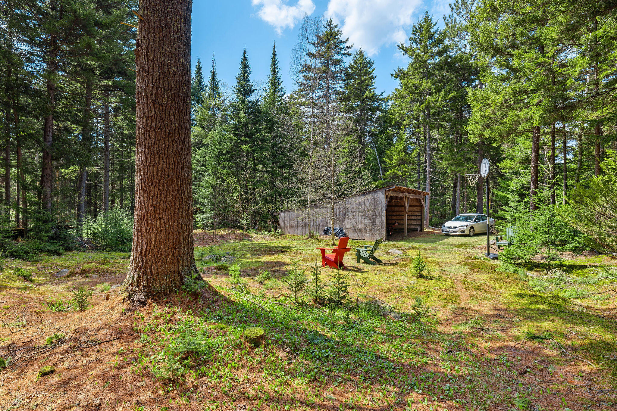 1147 Forestdale Road Au Sable Forks, NY 12912 - Photo 43 of 48 INT-TRIPOD-026