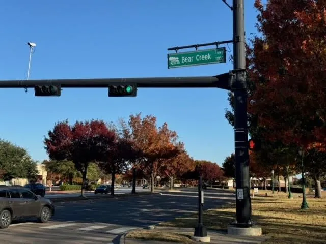 a view of road with with trees