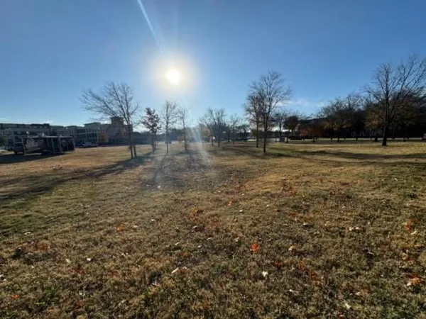 a view of dirt field with trees
