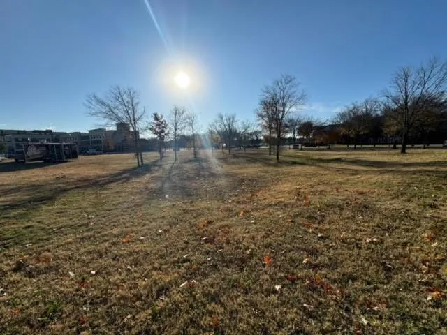 a view of dirt field with trees
