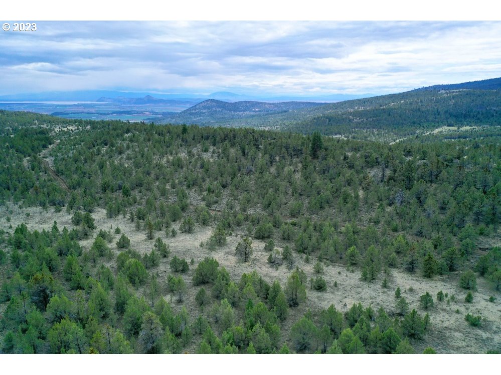 South Poe Valley Road Klamath Falls, OR 97603 - Photo 2 of 18 Gallery Image 2