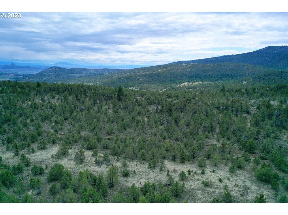 South Poe Valley Road Klamath Falls, OR 97603 - Photo 3 of 18 Gallery Image 3