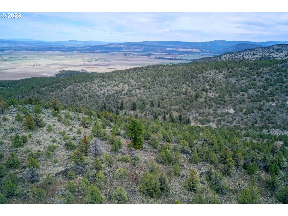 South Poe Valley Road Klamath Falls, OR 97603 - Photo 5 of 18 Gallery Image 5