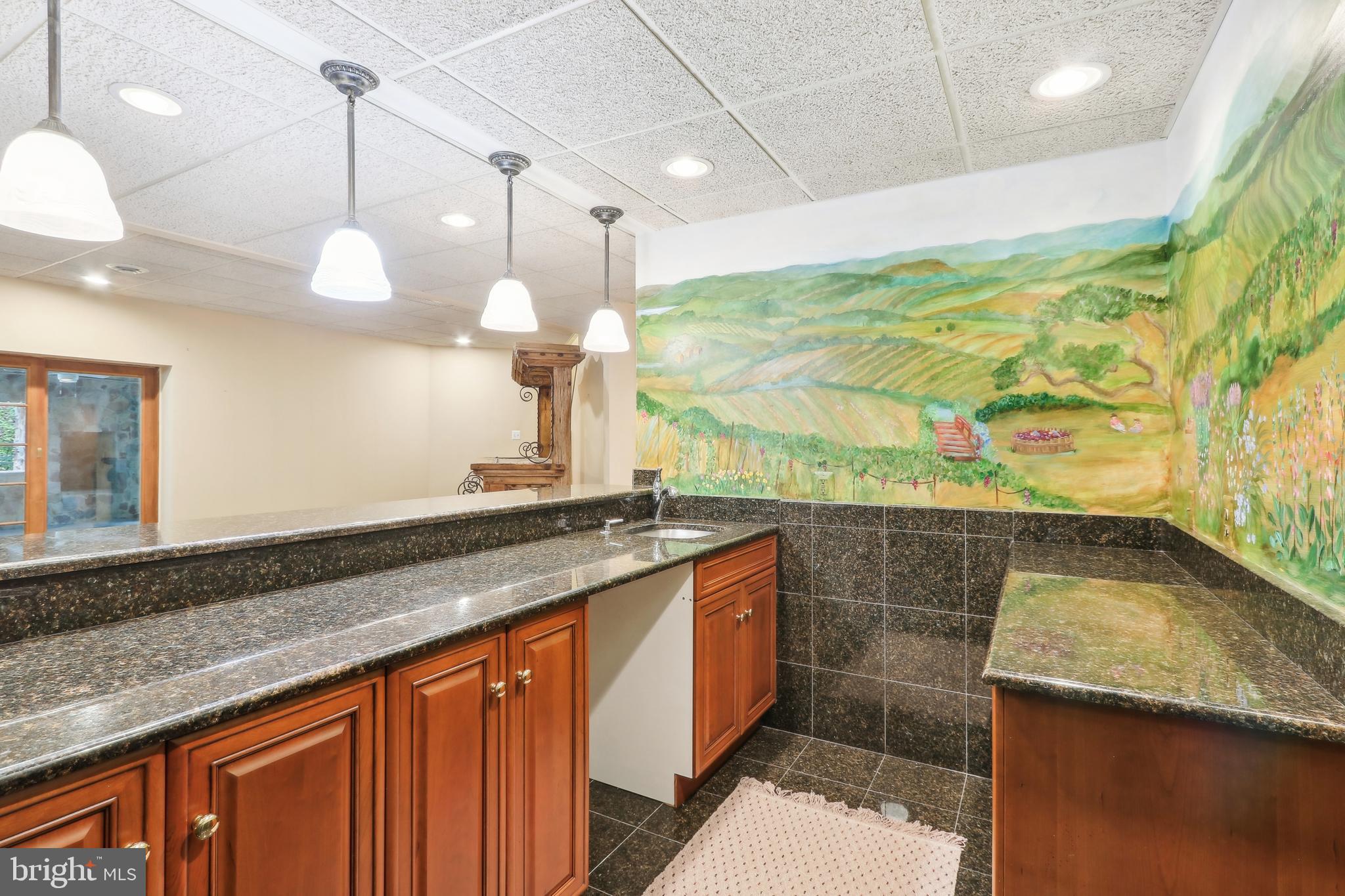 6007 Goshen Road Newtown Square, PA 19073 - Photo 58 of 73 built-in bar