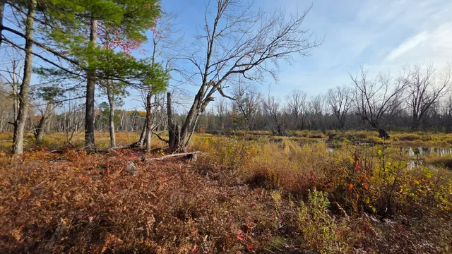 $45,000 | 12 Maple Grv Road, Lee, ME 04455