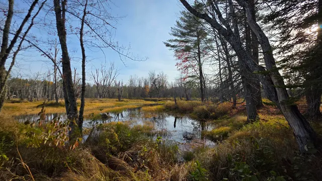 $45,000 | 12 Maple Grv Road, Lee, ME 04455