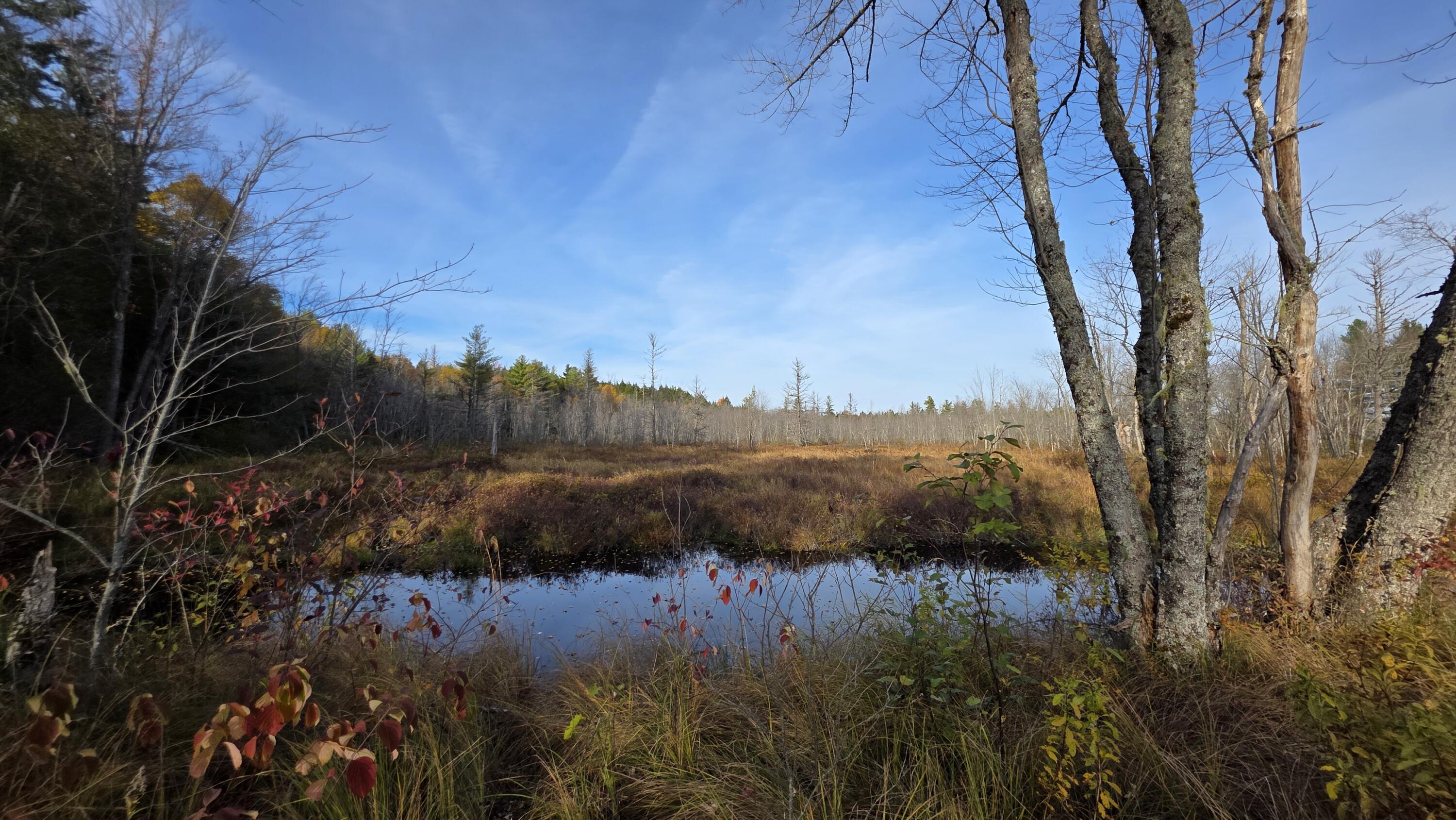 12 Maple Grv Road Lee, ME 04455 - Photo 39 of 49 20251019_153510