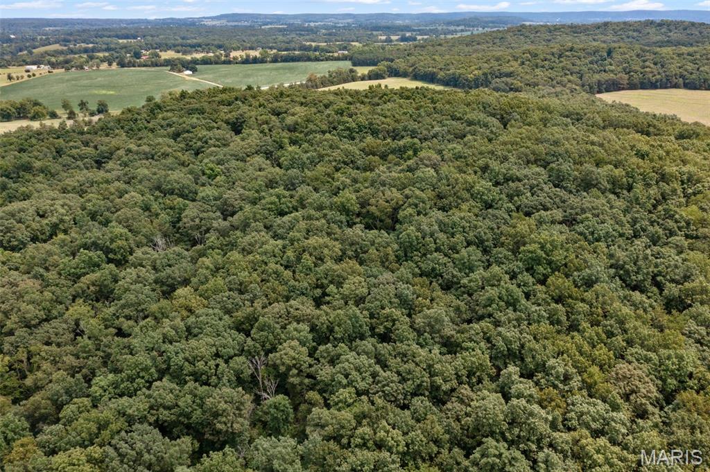 2276 Old Fredericktown Road Farmington, MO 63640 - Photo 13 of 75