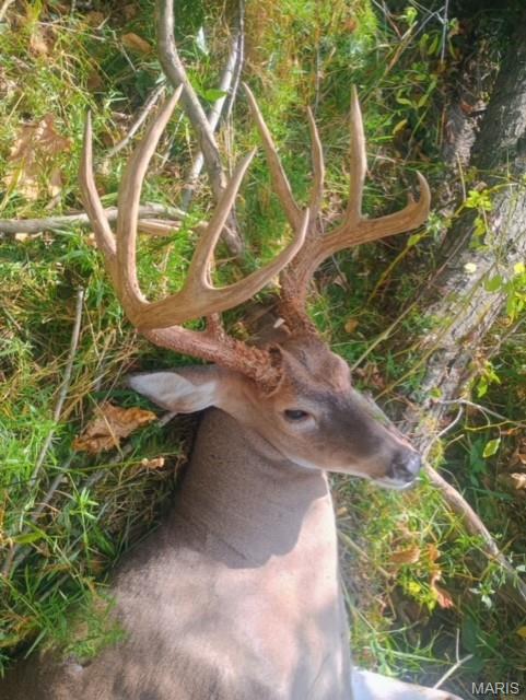 2276 Old Fredericktown Road Farmington, MO 63640 - Photo 67 of 75