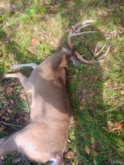 2276 Old Fredericktown Road Farmington, MO 63640 - Photo 68 of 75