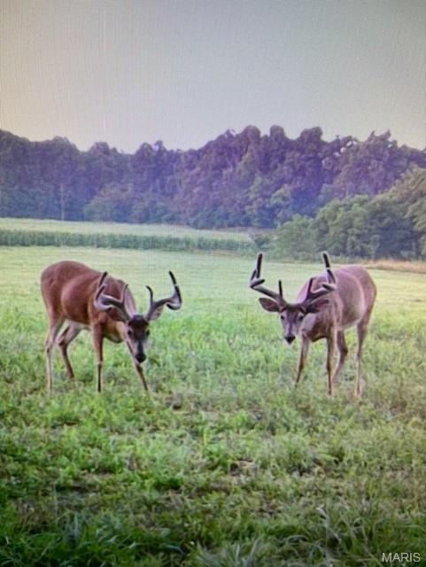 2276 Old Fredericktown Road Farmington, MO 63640 - Photo 69 of 75