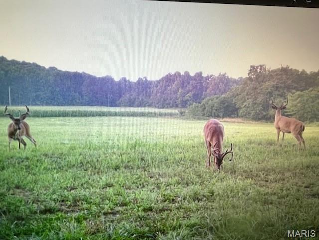 2276 Old Fredericktown Road Farmington, MO 63640 - Photo 70 of 75