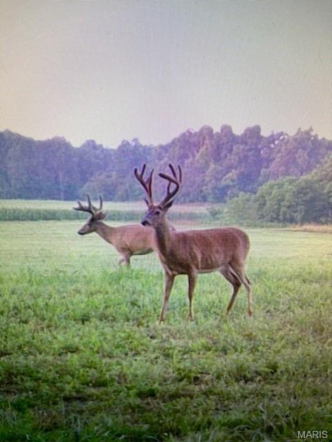 2276 Old Fredericktown Road Farmington, MO 63640 - Photo 71 of 75