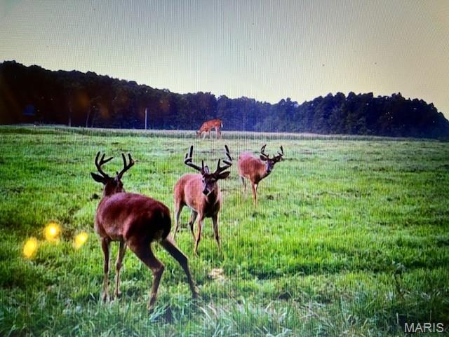 2276 Old Fredericktown Road Farmington, MO 63640 - Photo 72 of 75