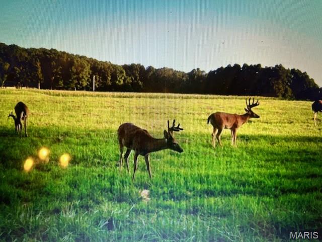 2276 Old Fredericktown Road Farmington, MO 63640 - Photo 73 of 75