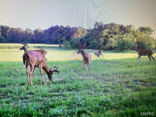 2276 Old Fredericktown Road Farmington, MO 63640 - Photo 74 of 75
