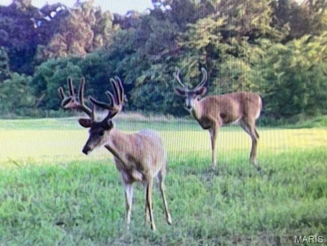 2276 Old Fredericktown Road Farmington, MO 63640 - Photo 75 of 75