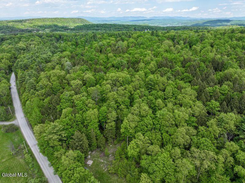 L2 Liddle Harris Road Putnam Station, NY 12861 - Photo 4 of 12 Aerial, View East