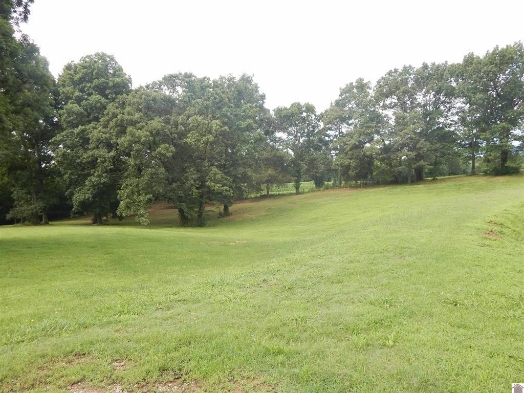 2510 Olive Hamlet Road Benton, KY 42025 - Photo 1 of 30 17