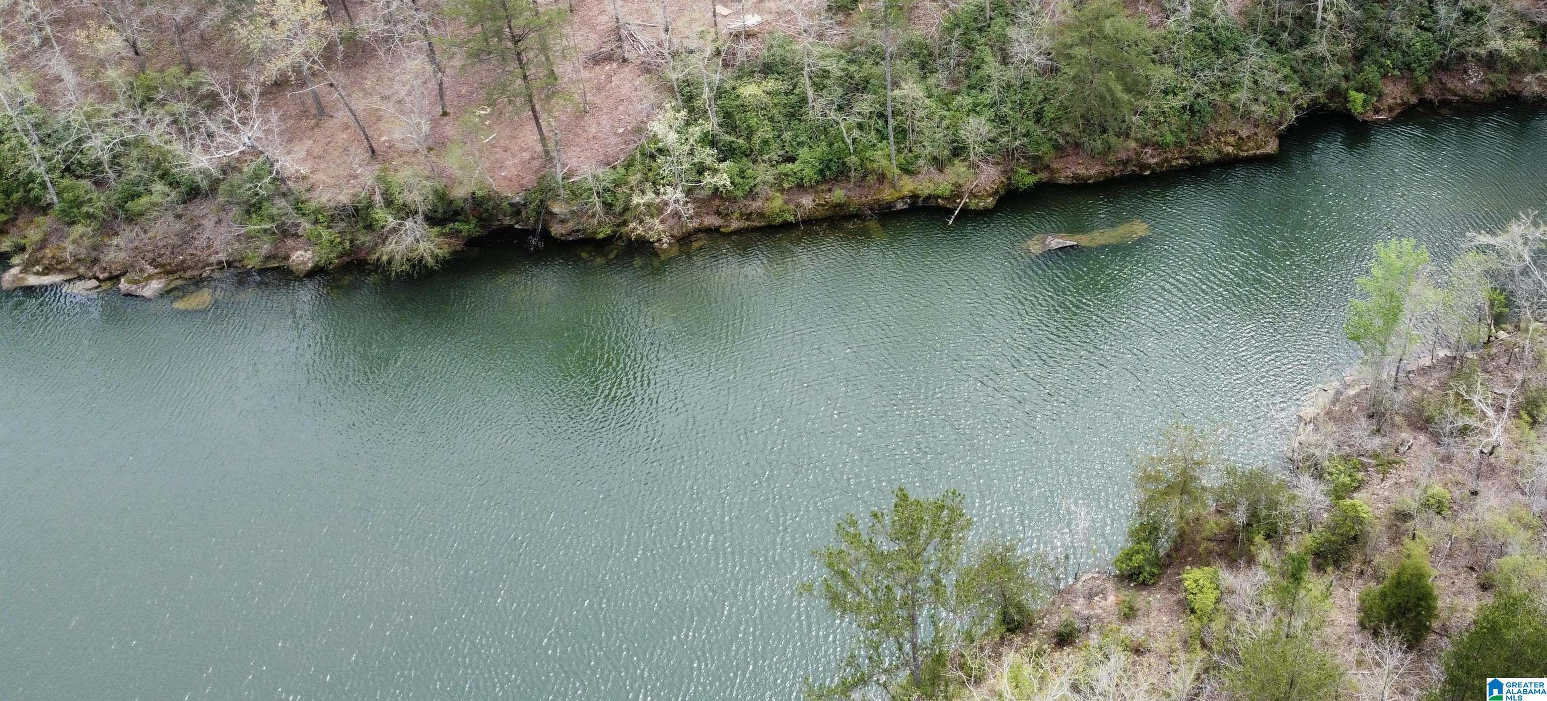 Lot 5 Little Dismal Road, Unit 5 Arley, AL 35541 - Photo 2 of 12