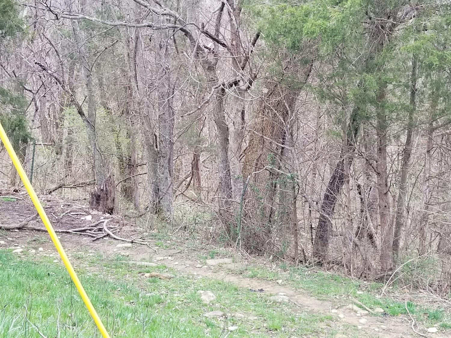 1111 Aaron Barnett Road Lawrenceburg, KY 40342 - Photo 71 of 84 Photo 71