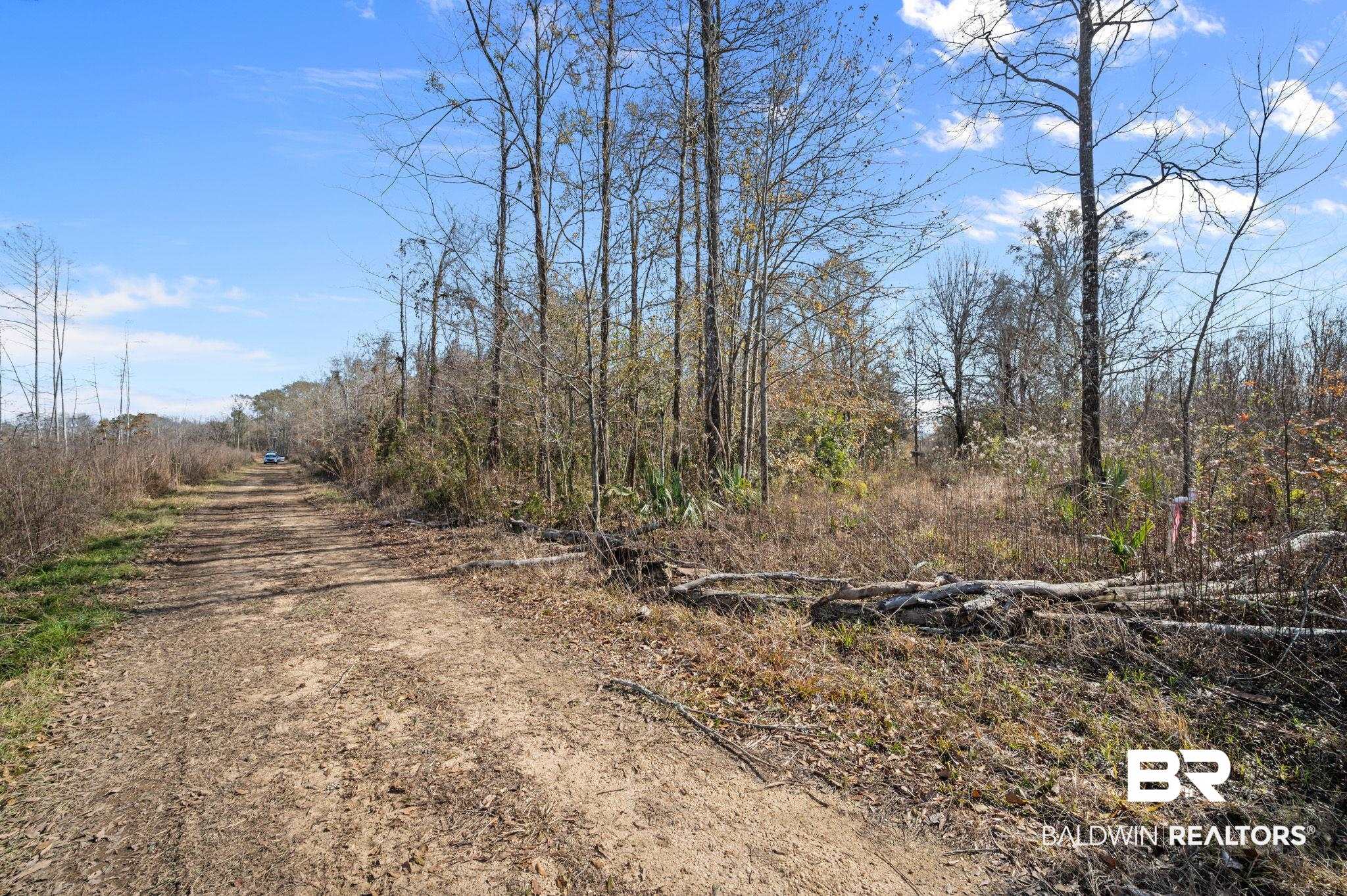 0 Bryant's Lndg Road Stockton, AL 36579 - Photo 3 of 29